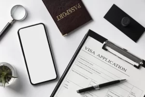 Single Entry Visa Application